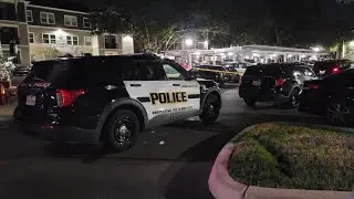 Car owner confronts, shoots suspected vehicle thief at far North Side apartments, police say