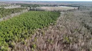 Hunter's Paradise in Eastern NC - 2