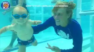 Born to Swim ~ Born to Teach Swimming !
