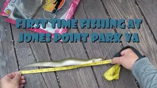 First Time Fishing at Jones Point Park VA (Surprise Catch)
