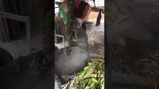 One village one product