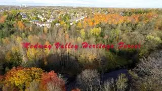 Medway Valley Heritage Forest