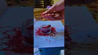 The Golden Elixir: Exploring Saffron's Aura #kesarharvesters @KesarHarvesters  #saffron #plants
