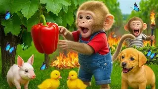 🌾🐒 CocoMonkey & NanaMonkey&rsquo;s Amazing Farm Adventure 🐶🦆🔥