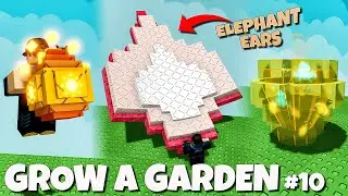 KALAHKAN CANDY BLOSSOM?! Tanaman ELEPHANT EARS  & Summer Event Update 🌺🐘🌞 | Grow a Garden Indonesia