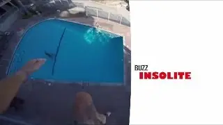 Teaser InfinityBuzz