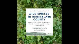 Wild Edibles in Rensselaer County with Russ Cohen