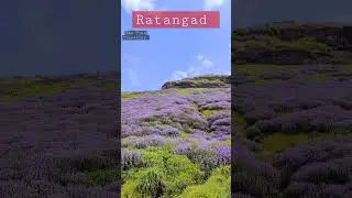 #ratangad with #thetrektraveller#love#reels#adventure#shorts#trending#viral#travel#maharashtra#india