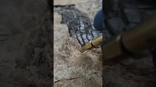 #preparation #fossil #nature #timelapse #fossilfish #wyoming #fossils #fun #fossilprep #fishing