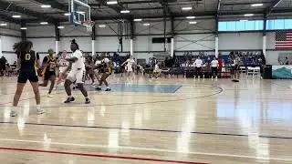 Mckenna Ireland Class of 2027 Junior Year Section 7 Tournament Highlights 