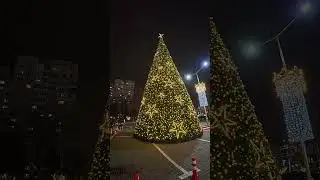 Brad la Sculeni Christmas Tree #walking #mims 191 #Chisinau #Moldova December 9 2025