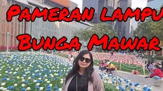 Starlight Rose 🌹🌹 Hongkong #rose #beautiful #travel #cute #vlog #bunga #jalanjalan