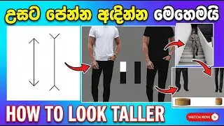 උසට පේන්ඩ අදිමු How to wear looks taller