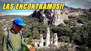 Increíble hallazgo: Torresillas y Una Cueva OCULTA con Pinturas ANTIGUAS 🇲🇽 #exploración #aventura 