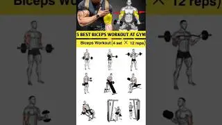 #Biceps Workout at gym #gymworkout