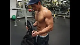 Bicep Workout