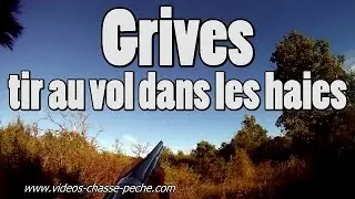 Chasse &agrave; la grive, tir au vol dans les haies