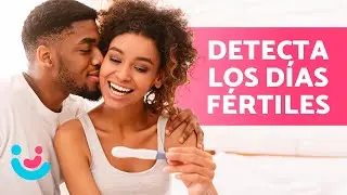 C&oacute;mo saber si estoy OVULANDO siendo IRREGULAR 💜 D&iacute;as F&eacute;rtiles en Ciclo Irregular