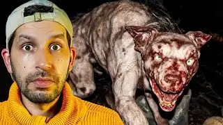 Ces vid&eacute;os PARANORMALES sont-elles authentiques ? | DEBUNK | Stranger Net