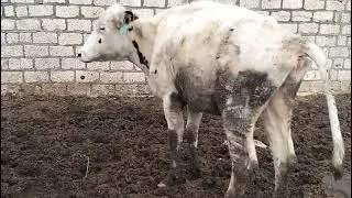 ٣١ يناير ٢٠٢٦