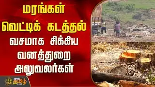 மரங்கள் வெட்டிக் கடத்தல் வசமாக சிக்கிய வனத்துறை அலுவலர்கள்..! | Dindigul | Tamil News