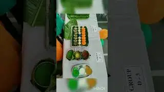 Tricolour food competition