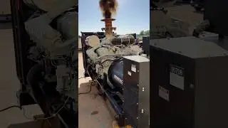 Start Up! 800 kW Diesel Generator #generator #diesel #power