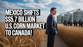 Is MEXICO's CORN Rejection a Game Changer for CANADA's Trade?