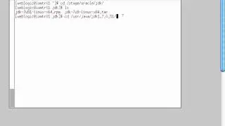 1. WebLogic Server Install JDK (Java) for WebLogic Server .
