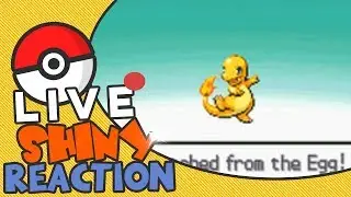 Shiny Charmander after 220 Eggs! :D