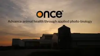 Bringing the Science of Light to Animal-Centric Lighting Systems