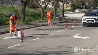 Nuovo mercato ortofrutticolo di Andria, dopo 60 anni va in pensione la struttura di via Barletta