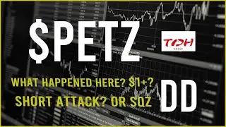 $PETZ Stock Due Diligence & Technical analysis  -  Price prediction