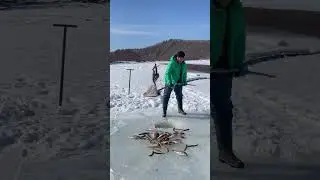 outdoor #fishingtechniques #carpfishing#ihavethisthng#0228