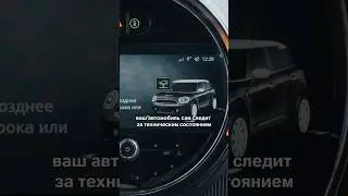 Сервисная книжка не нужна? Как узнать о приближении срока ТО #bmw #mini #сервис #полезно #техника