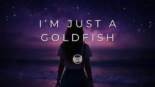 I'm Just a Goldfish - Kornel Music