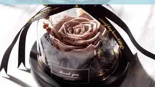 Exclusive Rose In Glass Dome With Lights Eternal Real Rose for your Valentines | Shopperhill Reviews