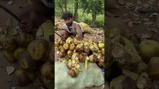 Palm Fruit Cutting Skill! Summer Special Ice Apple Rs10/- Only #shorts