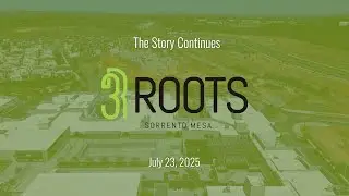 3Roots, A Vision Taking Root