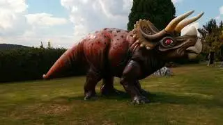 [VLOG Z NĚMECKA] CHURPFALZ PARK |#1