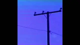 zander raymond - midnight, the stars, and you