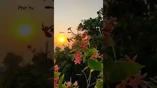 Fir tu kyu thehra?🥀☘️ || Finding Her song&nbsp; || Status ||&nbsp; #findingher #explore #trending #status