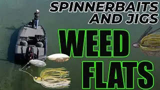 Big Spinner Bait and Swim Jigs: Fall Bass on Shallow Weed Flats