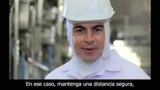 Série 100% Seguro - SESI - Frigorífico -Bovinos - Abate  - Subtítulos en Español
