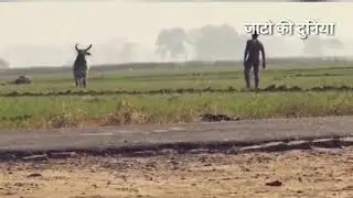 Dhara 144  jaat biradri song