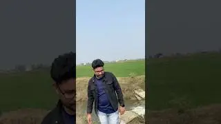 New border movie song