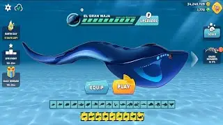 Hangry sharks world - El Gran Maja sharks Coming soon Updates Hack games coin's in diamond mode on 
