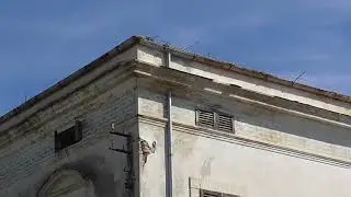 Cologna Spiaggia | Nuove proteste per le pessime condizioni di Villa Ranalli, abbandonata da anni