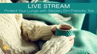 Protect Your Lungs with Slippery Elm Prebiotic Tea
