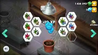 Hempire build your empire basics